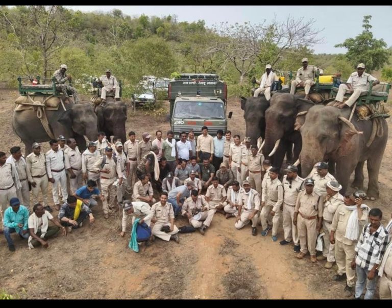 मुख्यमंत्री डॉ. मोहन यादव करेंगे वन कर्मियों का सम्मान