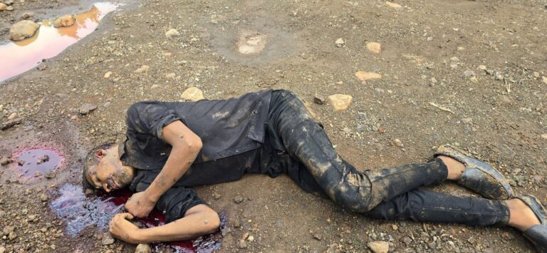 सनसनी वारदार: पत्थर से कुचलकर की हत्या जांच में जुटी पुलिस